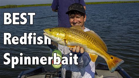 Deepwater Redfish: How to Target them with Spinerbaits